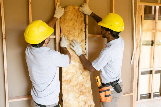 Best Eco-Friendly or Green Insulation Solutions  in Clearwater, KS